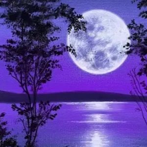 Meet your Posher, Yasmine